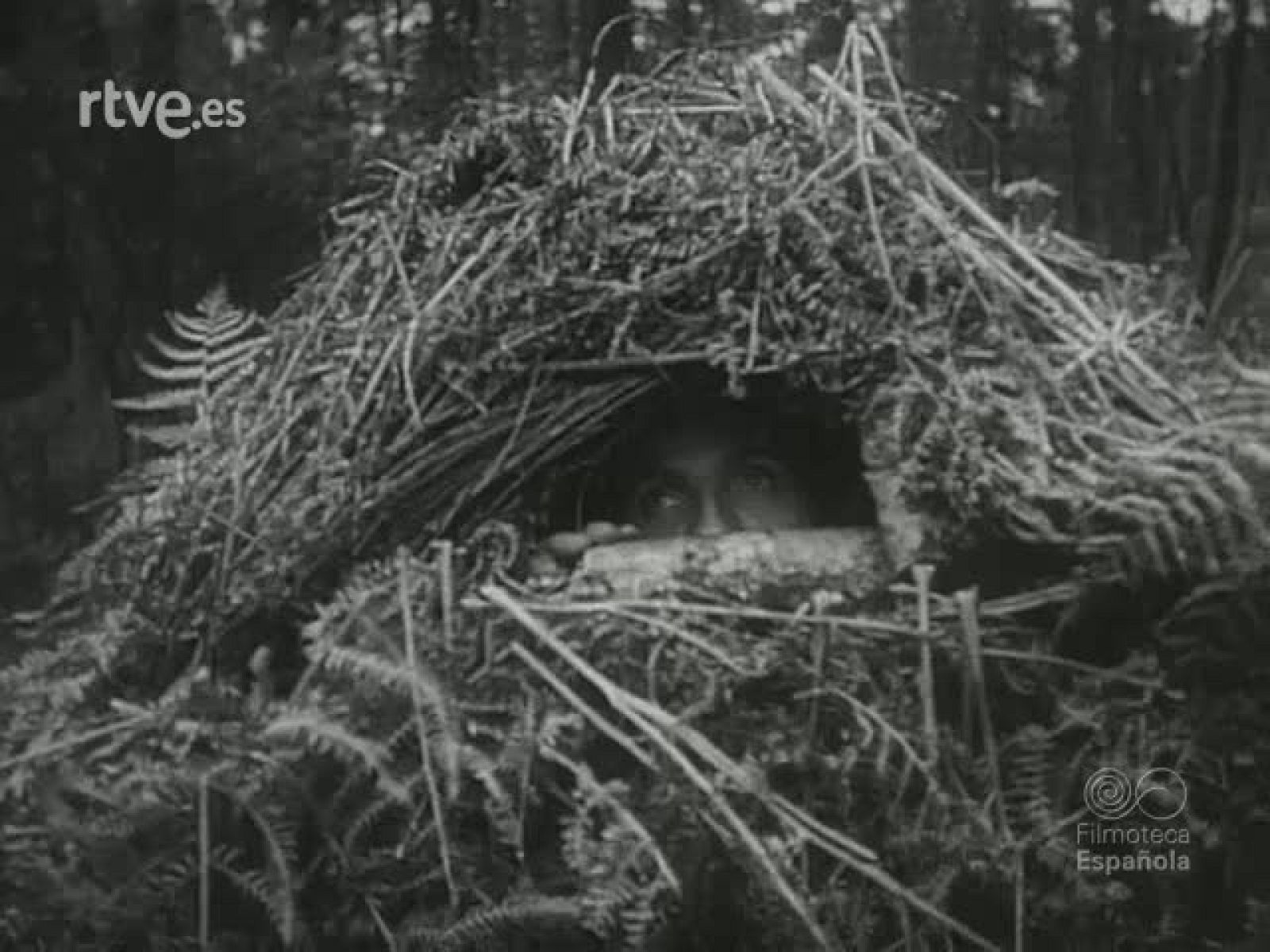 NOT N 55 A - NO-DO | Ver