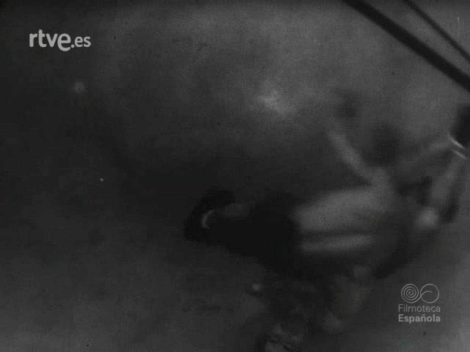 NOT N 110 A - NO-DO | Ver