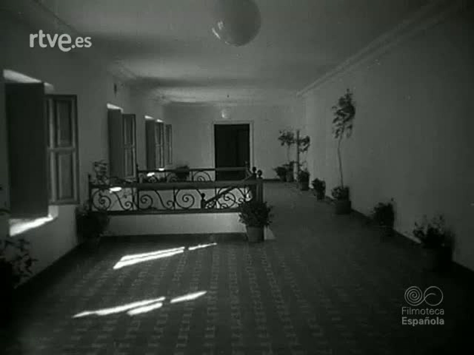 NOT N 359 A - NO-DO | Ver