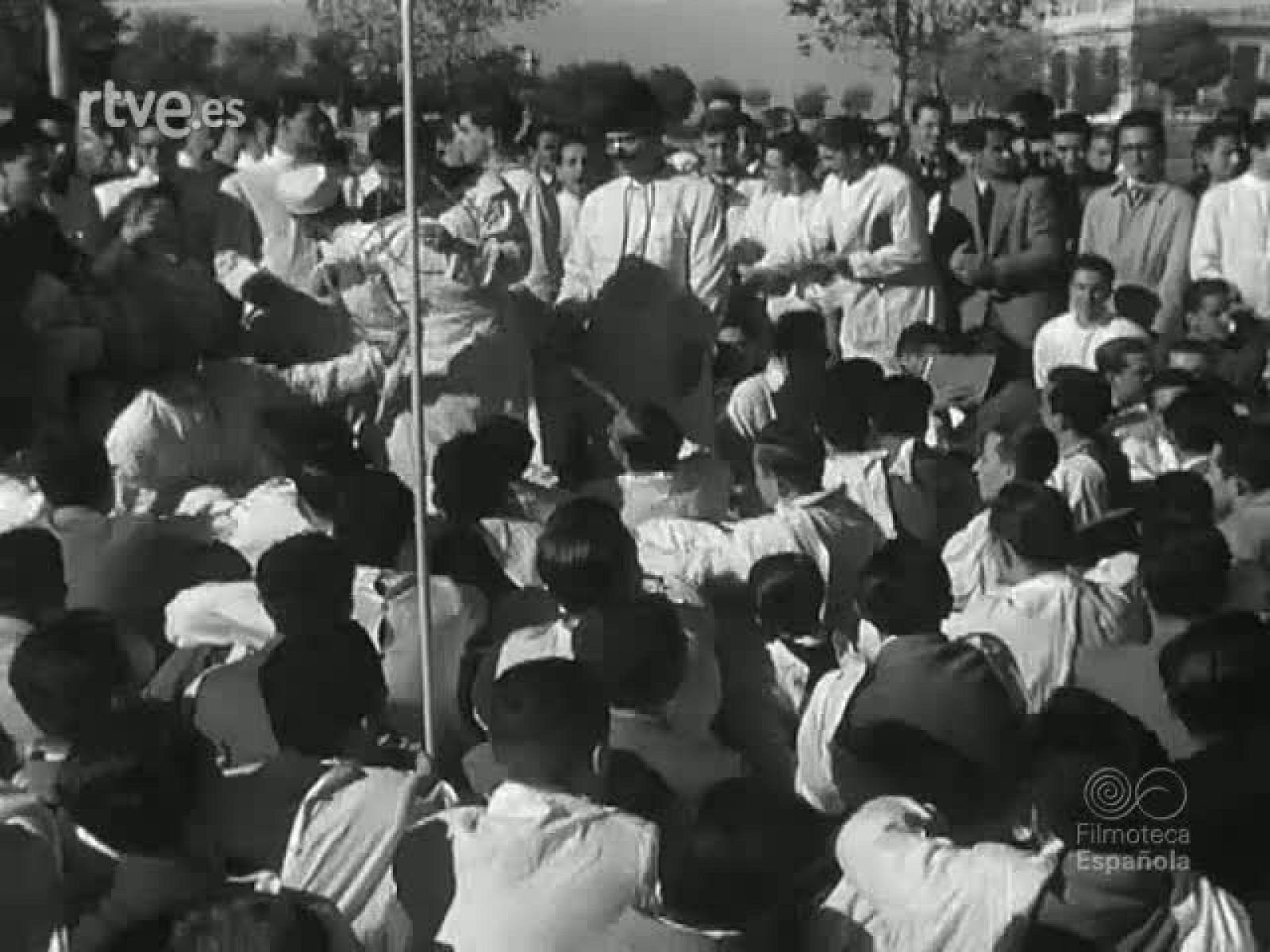 NOT N 360 B - NO-DO | Ver