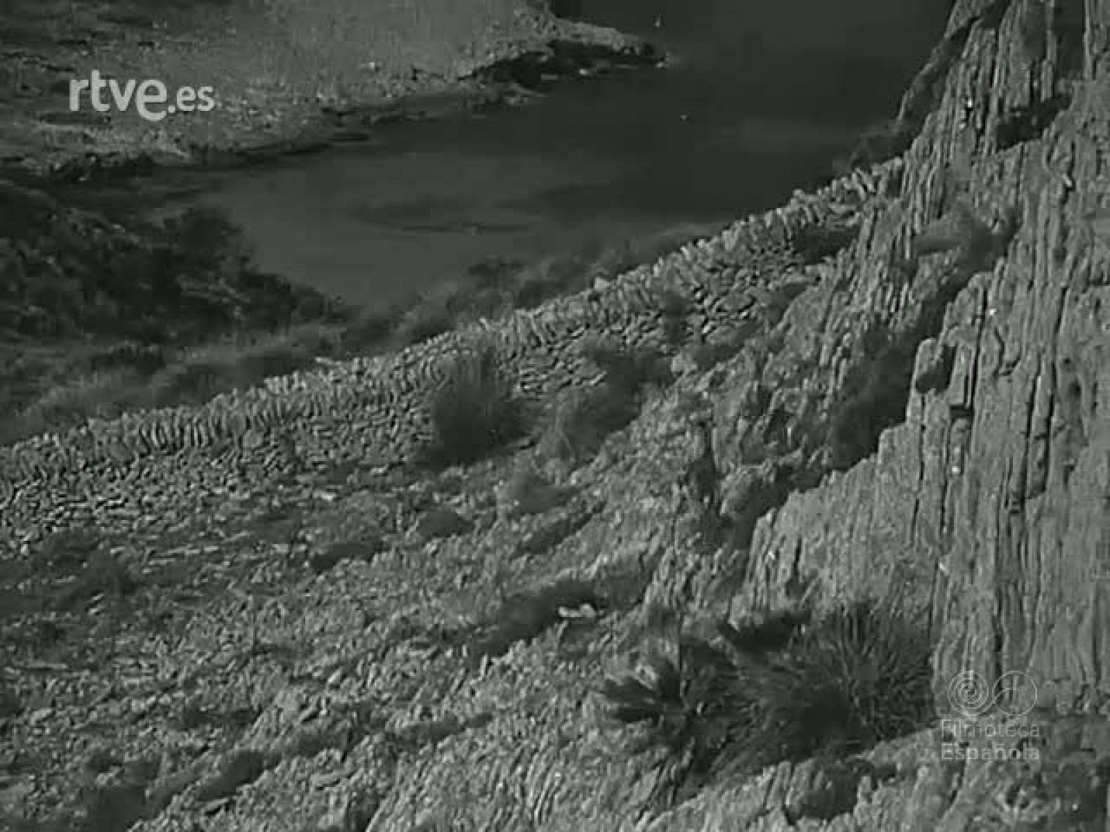 NOT N 371 A - NO-DO | Ver