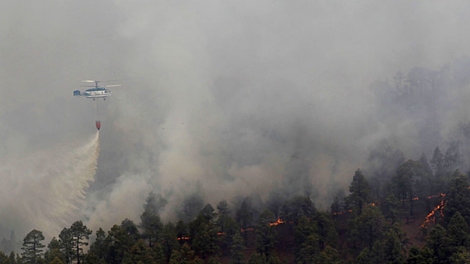 Más de 1.800 personas han sido desalojadas de Vilaflor por el incendio de Tenerife | Ver