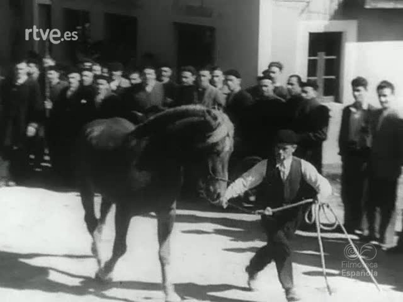 NOT N 115 A - NO-DO | Ver