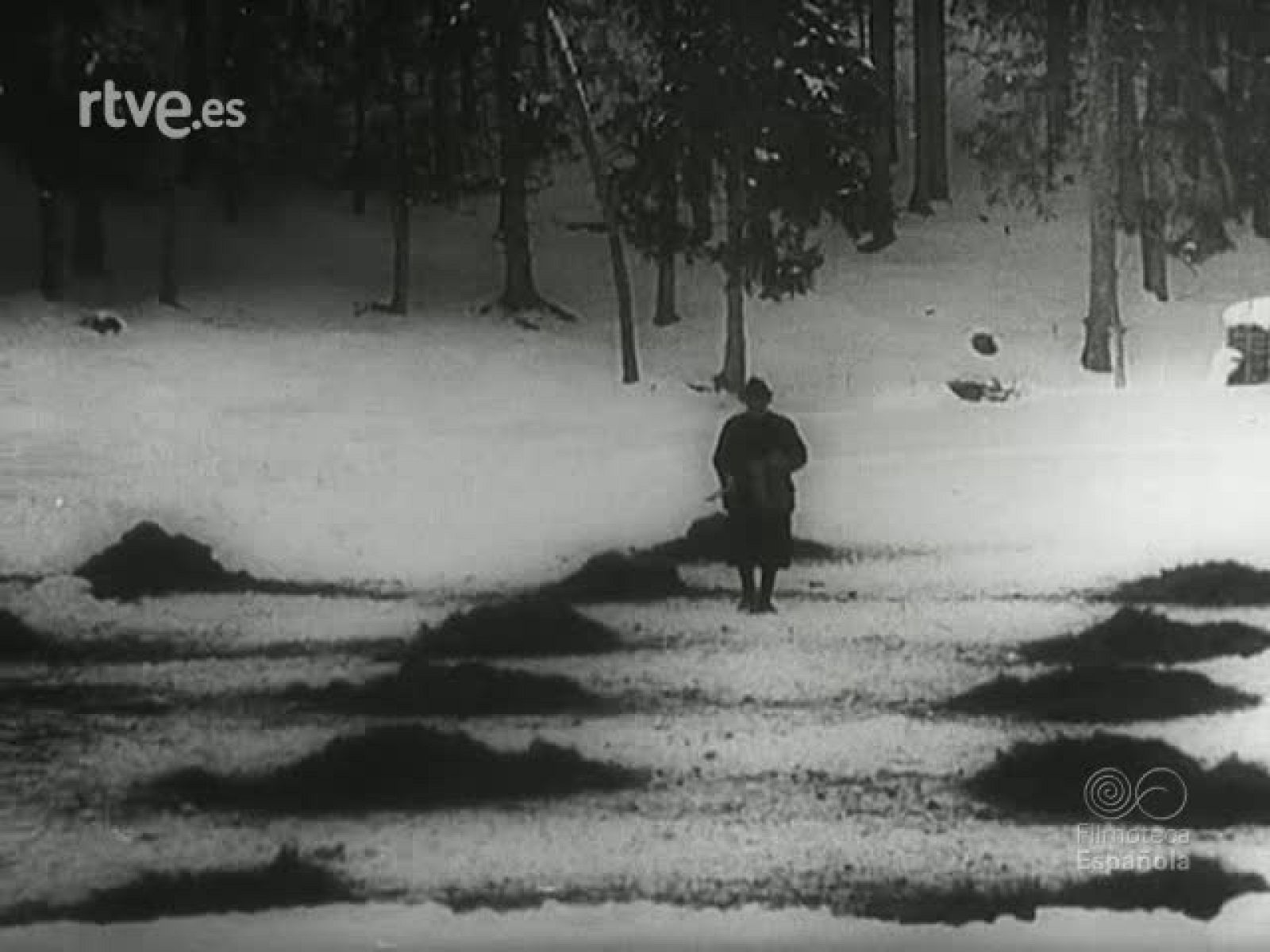 NOT N 118 A - NO-DO | Ver