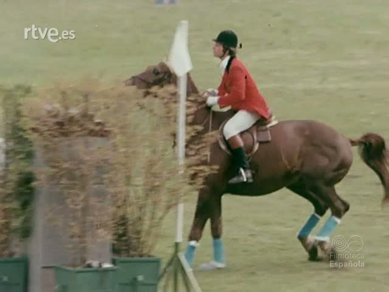 NOT N 1851 . - NO-DO | Ver