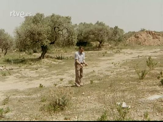 NO-DO - NOT N 1854 .