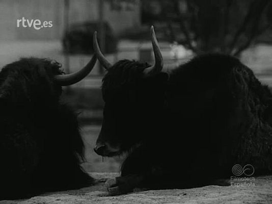 NO-DO - NOT N 1787 B