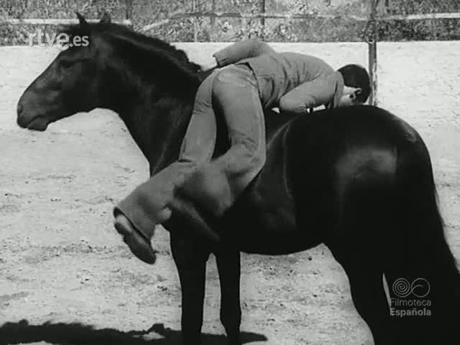 NOT N 1786 B - NO-DO | Ver