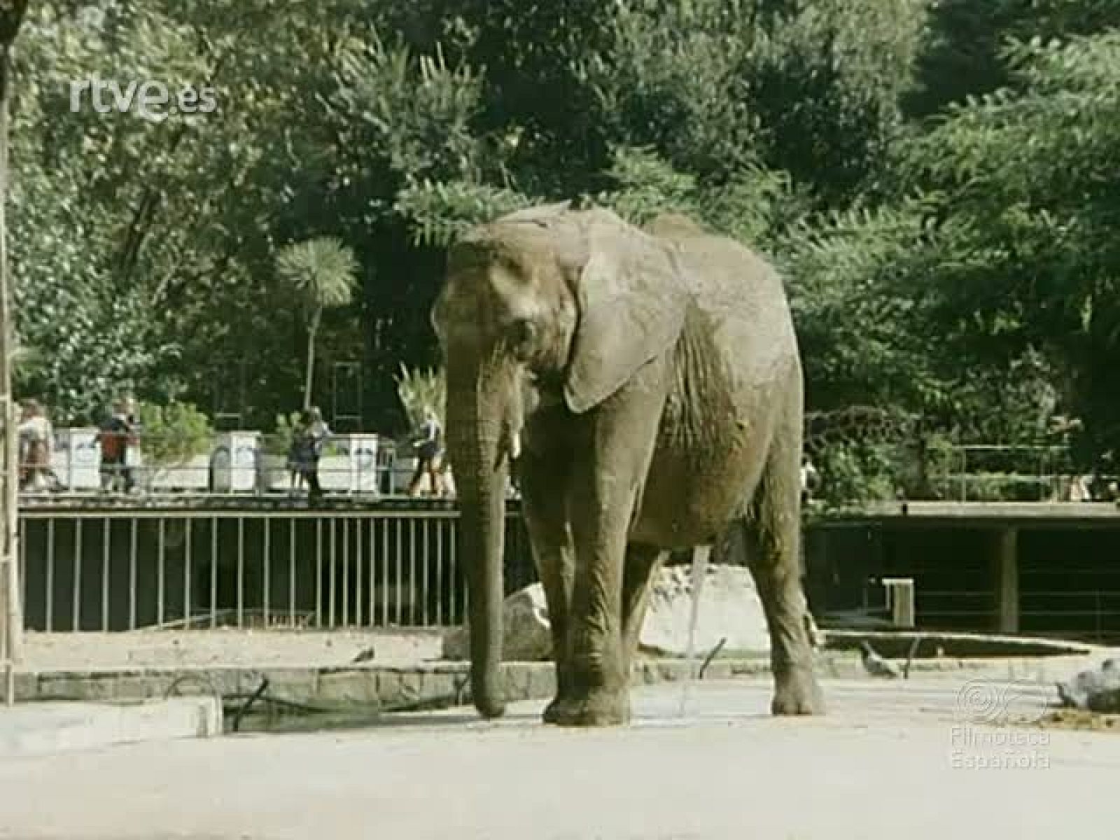 NOT N 1921 . - NO-DO | Ver