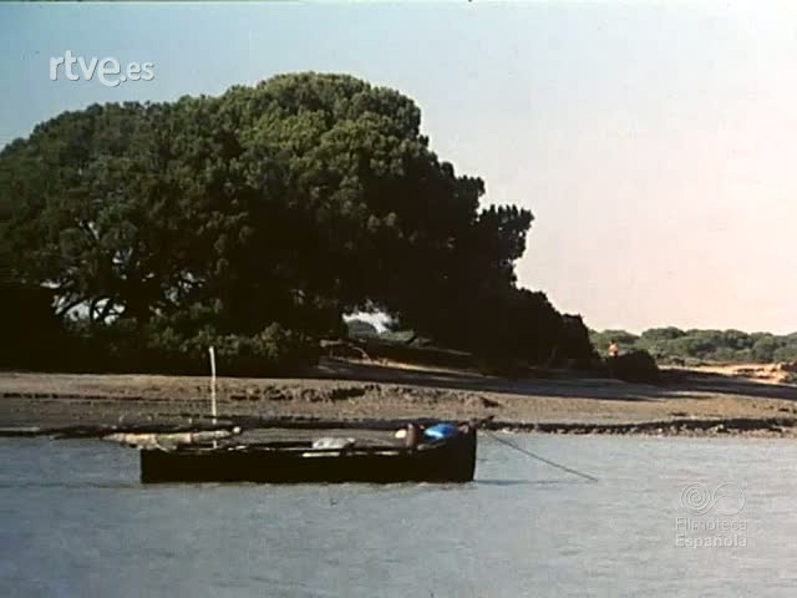 NOT N 1940 B - NO-DO | Ver