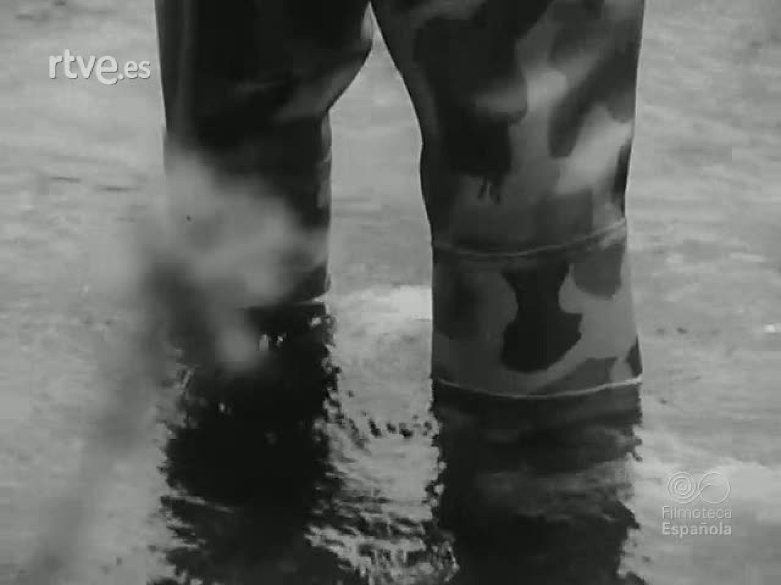 NOT N 1796 A - NO-DO | Ver