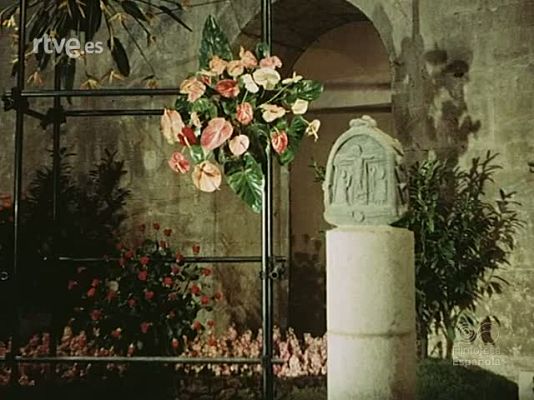 NO-DO - NOT N 1943 A