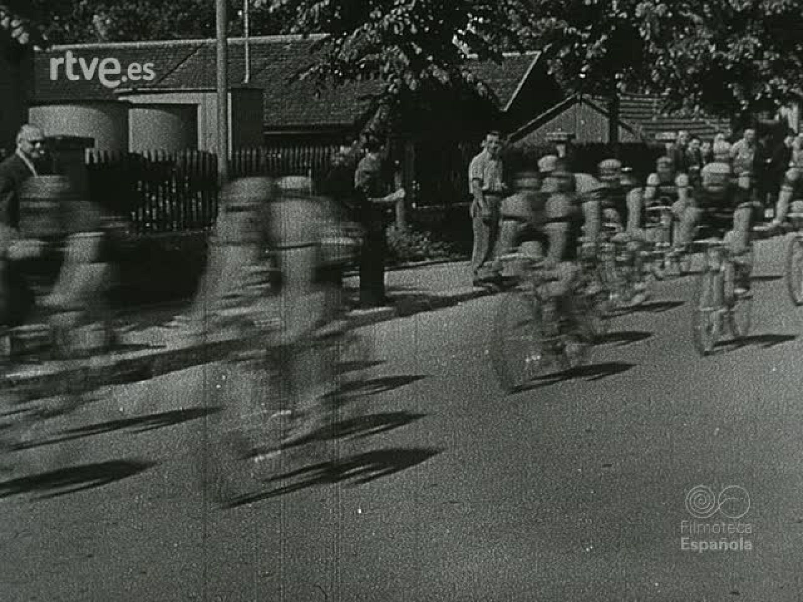 NOT N 30 B - NO-DO | Ver