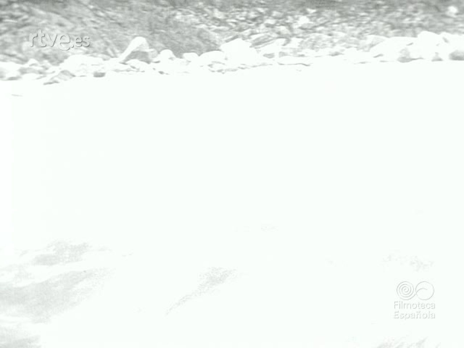 NOT N 216 A - NO-DO | Ver