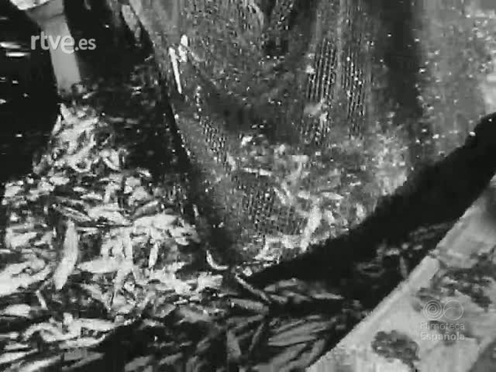 NOT N 257 A - NO-DO | Ver