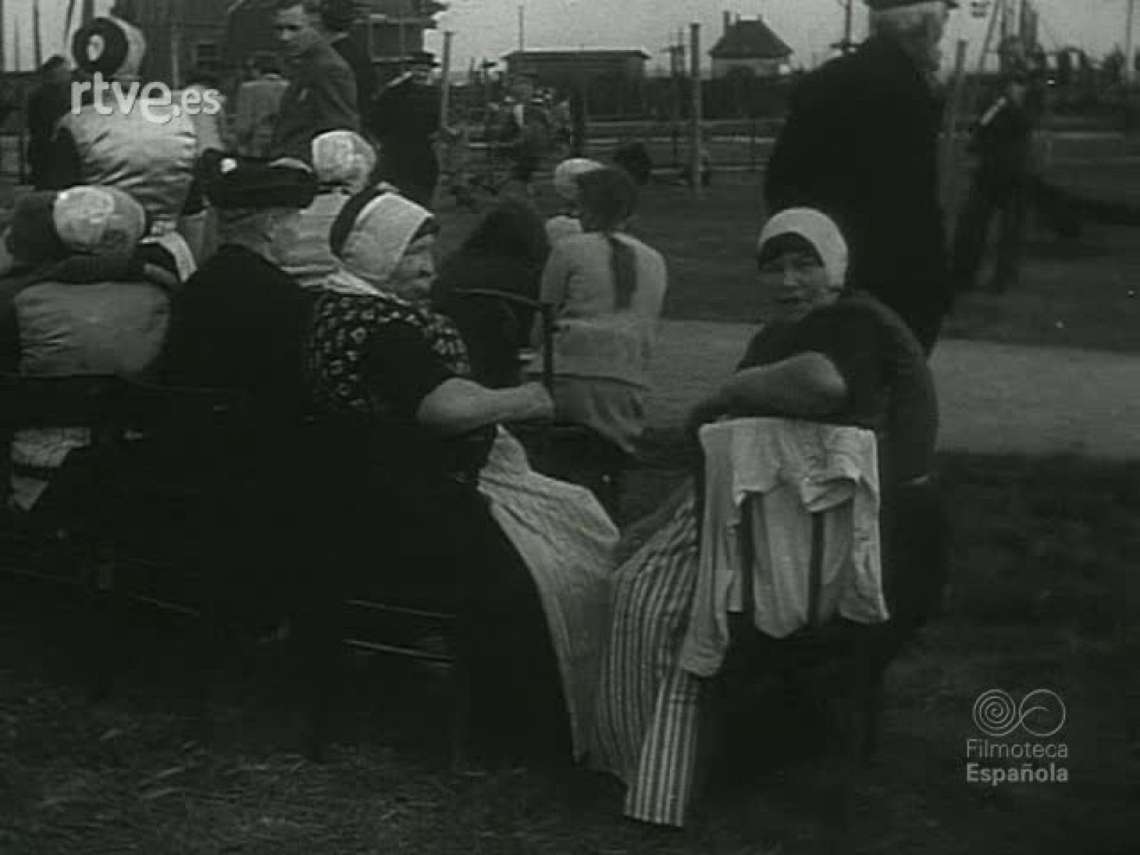 NOT N 350 A - NO-DO | Ver