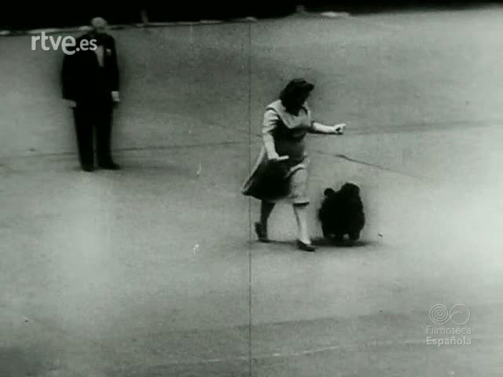 NOT N 93 B - NO-DO | Ver