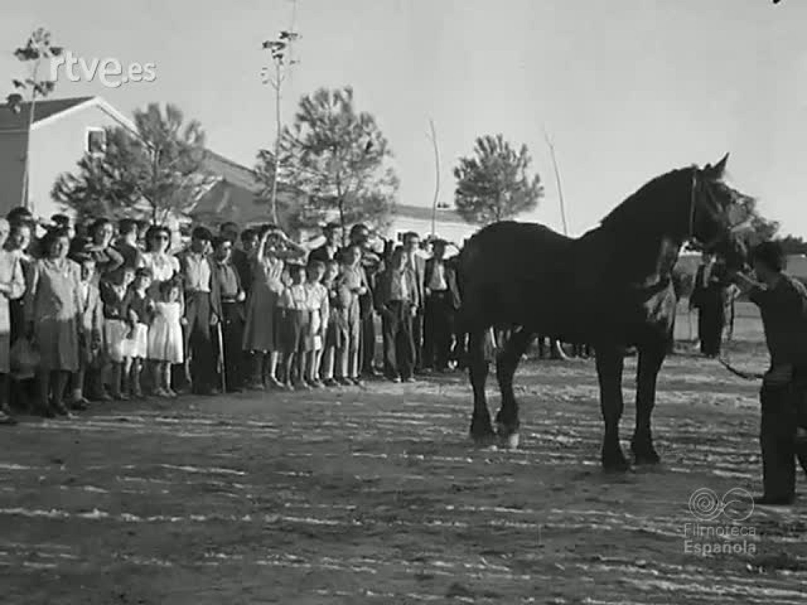 NOT N 298 A - NO-DO | Ver