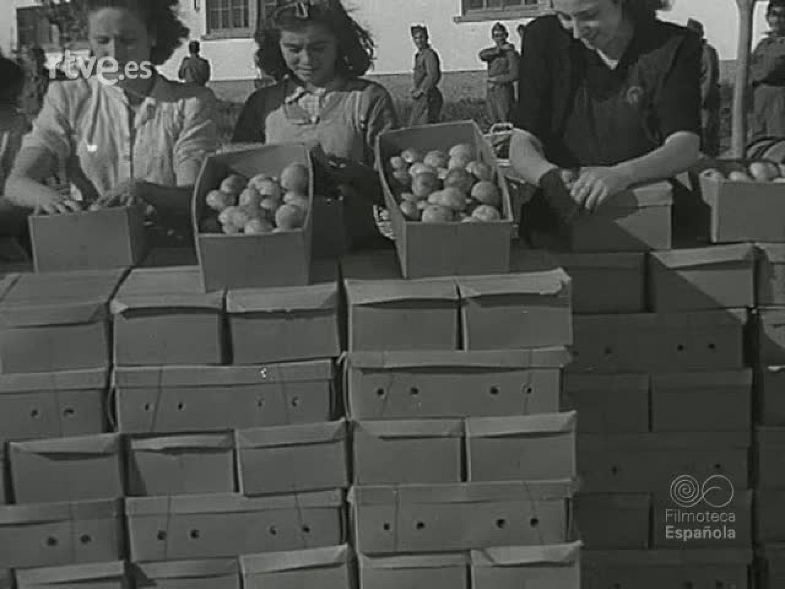 NOT N 261 B - NO-DO | Ver