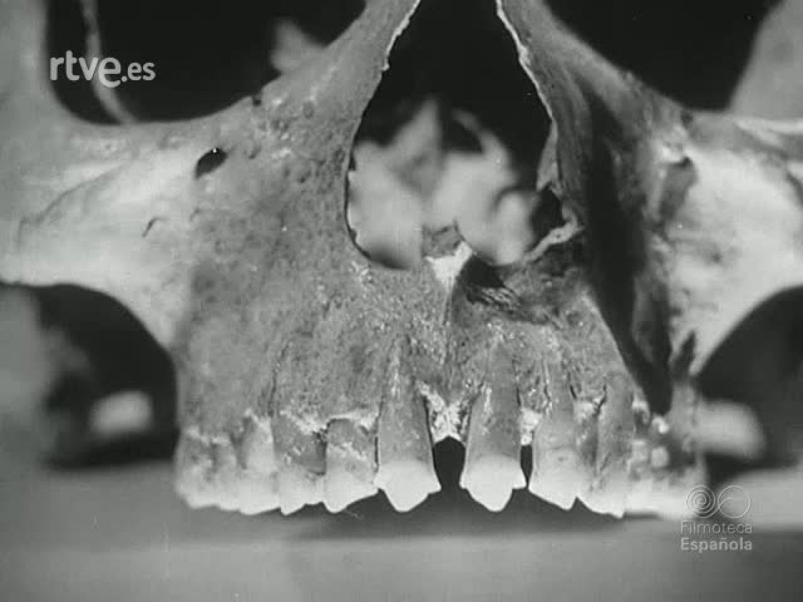 NOT N 297 A - NO-DO | Ver