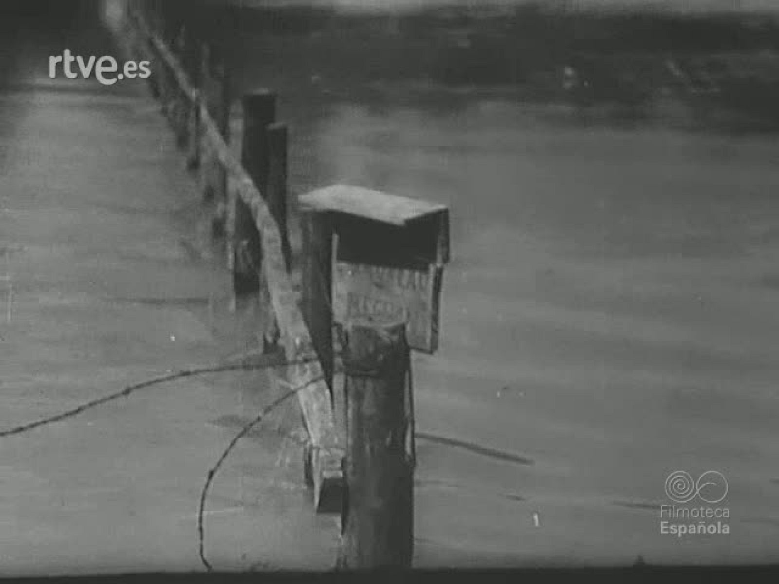 NOT N 290 A - NO-DO | Ver