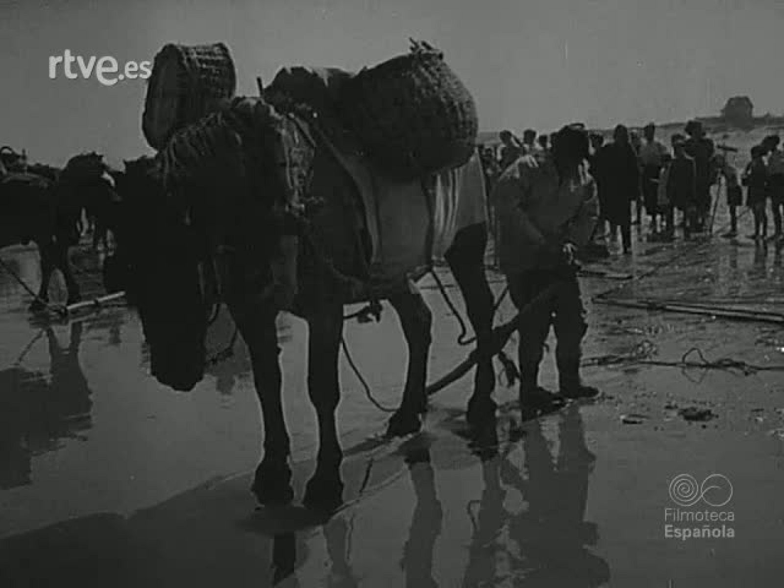 NOT N 401 B - NO-DO | Ver