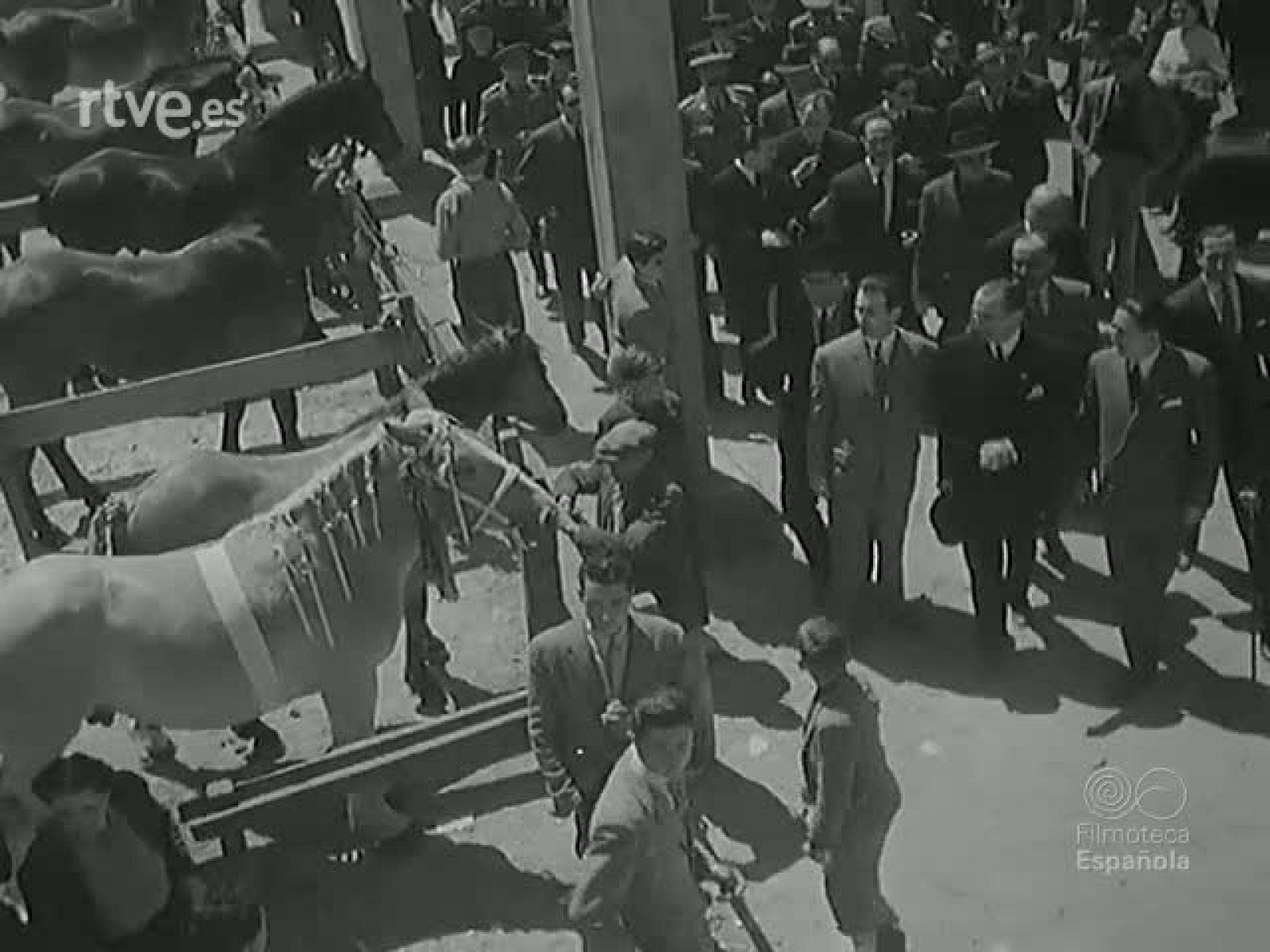 NOT N 282 A - NO-DO | Ver