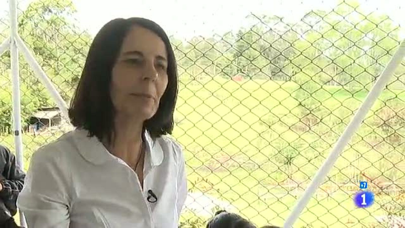 Españoles en el mundo - Medellin - Totón | Ver