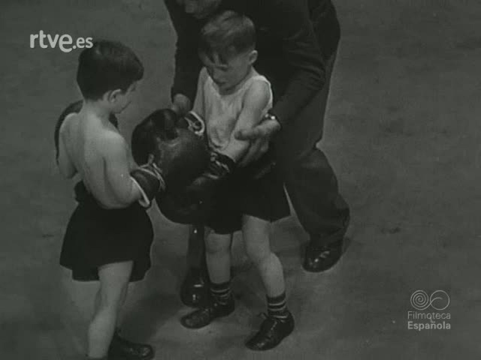 NOT N 328 A - NO-DO | Ver