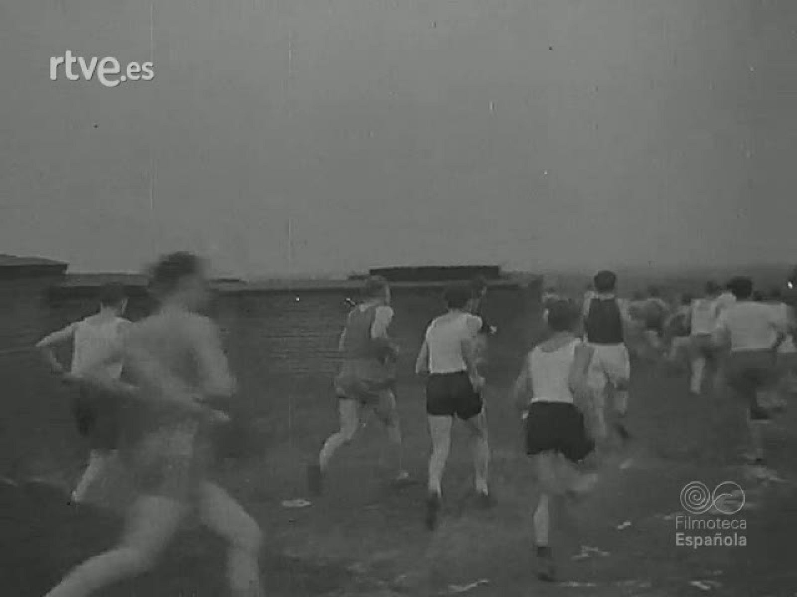 NOT N 261 A - NO-DO | Ver