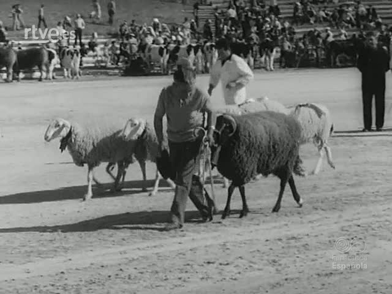 NOT N 1692 A - NO-DO | Ver