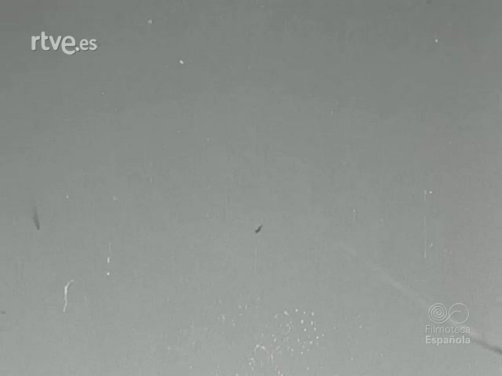 NOT N 365 A - NO-DO | Ver