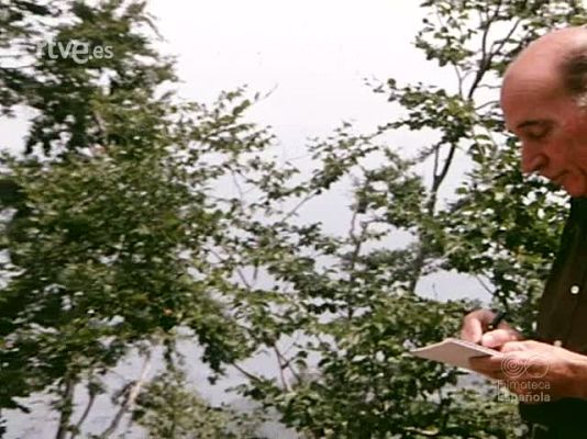 NO-DO - NOT N 1905 .