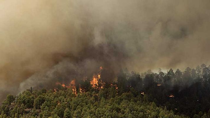Telediario 1 - Activos los incendios de Tenerife
