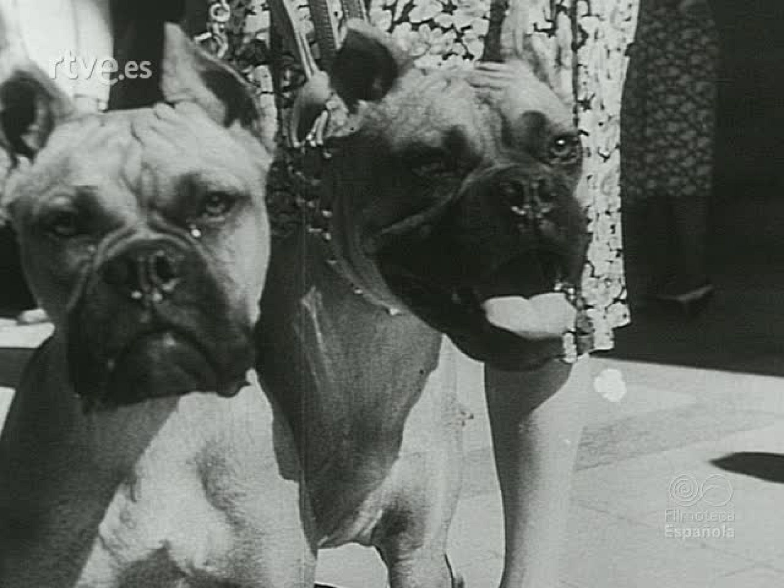 NOT N 29 B - NO-DO | Ver