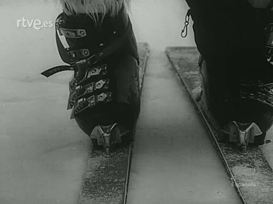 NO-DO - NOT N 1677 B