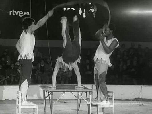 NO-DO - NOT N 1677 A