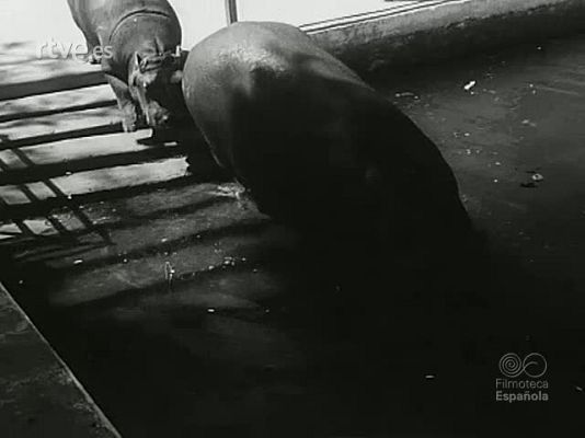 NO-DO - NOT N 1674 B