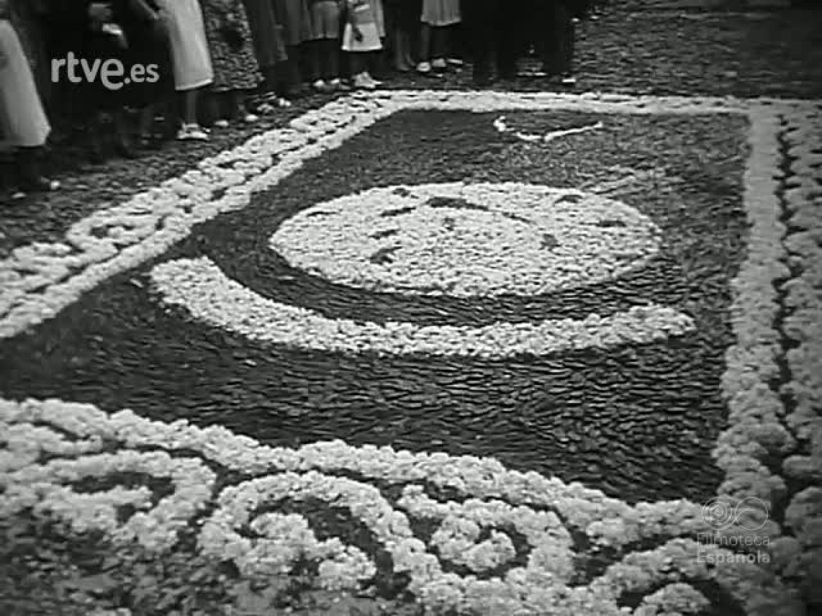 NOT N 339 B - NO-DO | Ver