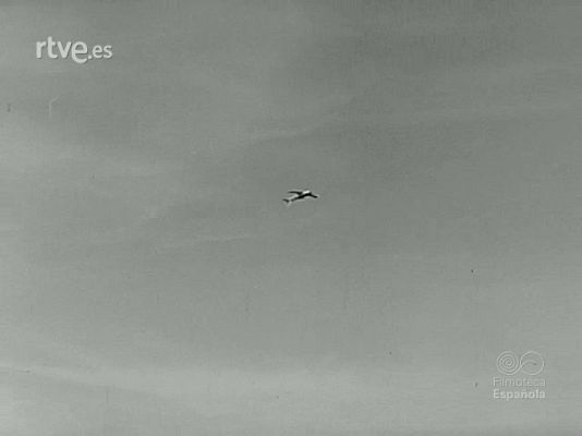 NO-DO - NOT N 1760 A