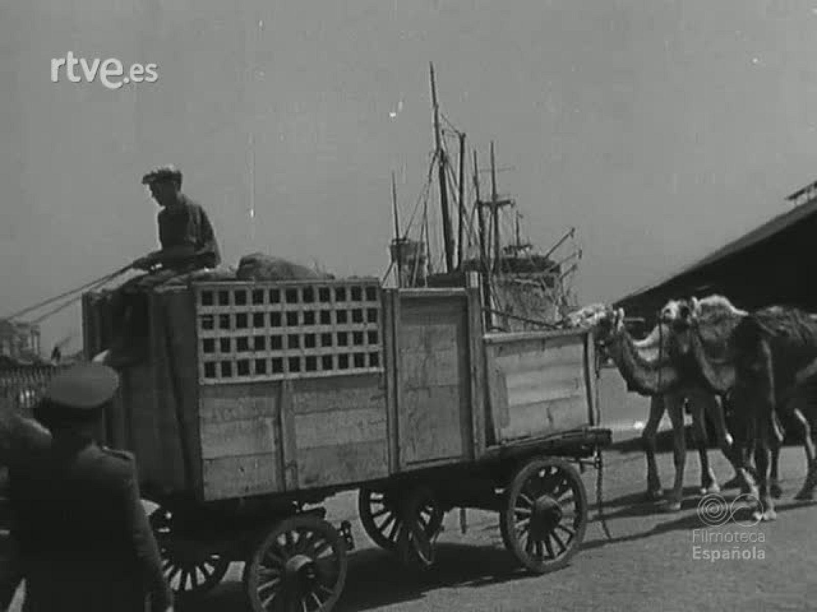 NOT N 345 B - NO-DO | Ver