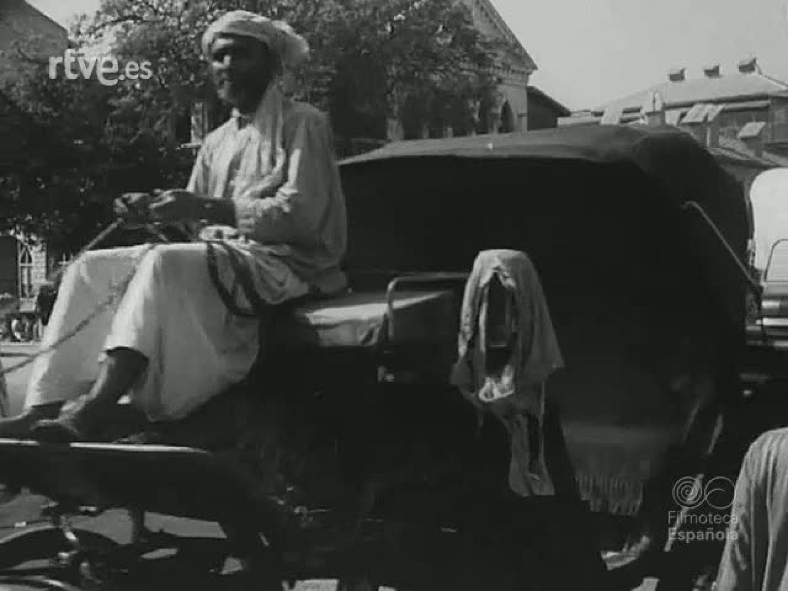 NOT N 533 B - NO-DO | Ver