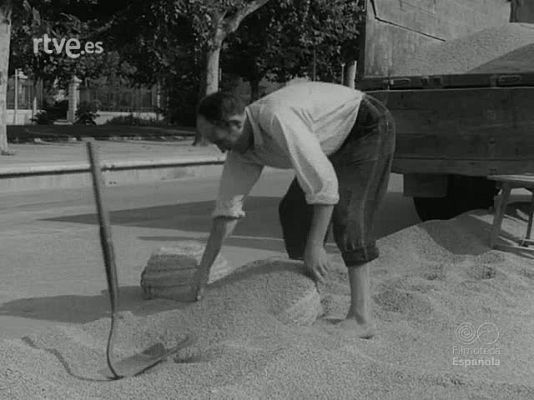 NO-DO - NOT N 1082 A