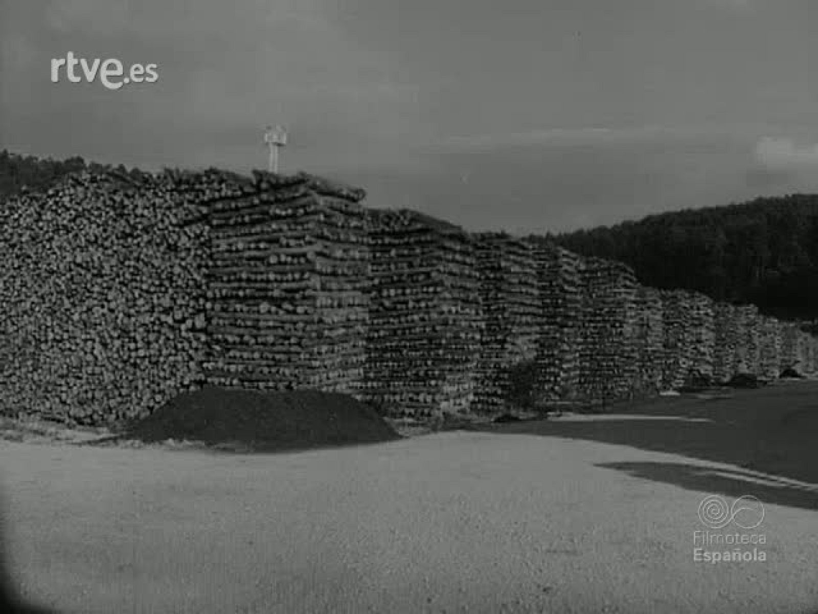 NOT N 1081 A - NO-DO | Ver