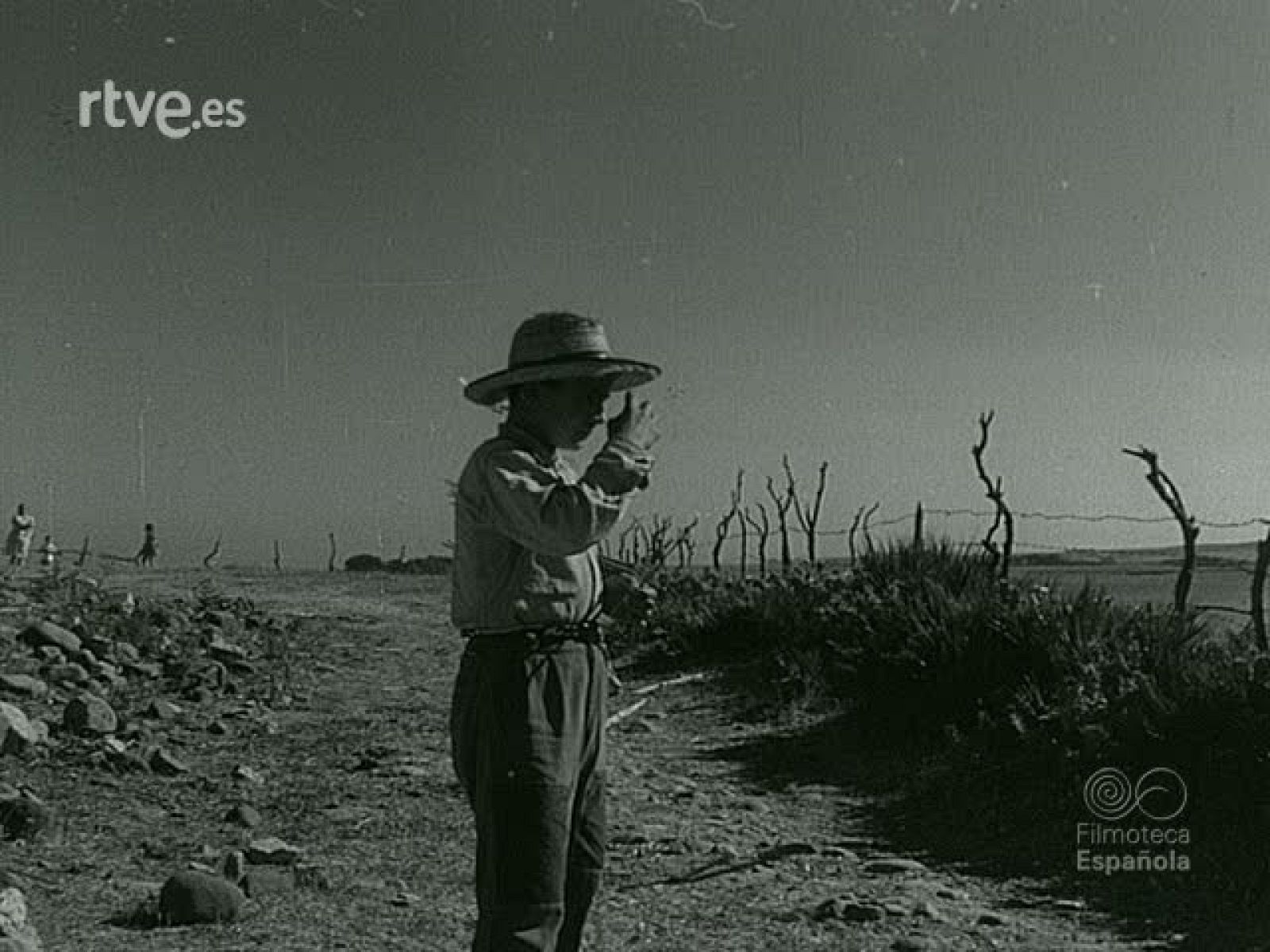 NOT N 923 B - NO-DO | Ver