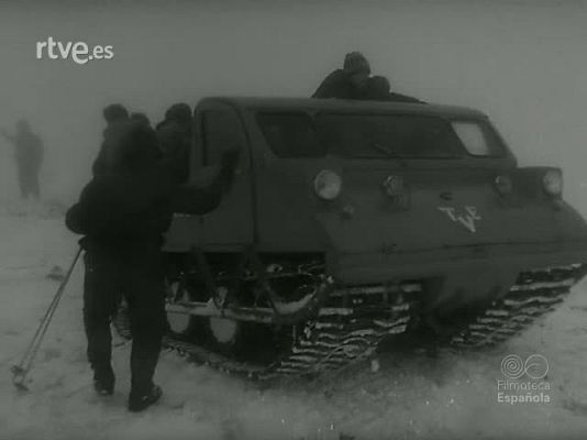 NO-DO - NOT N 1207 C