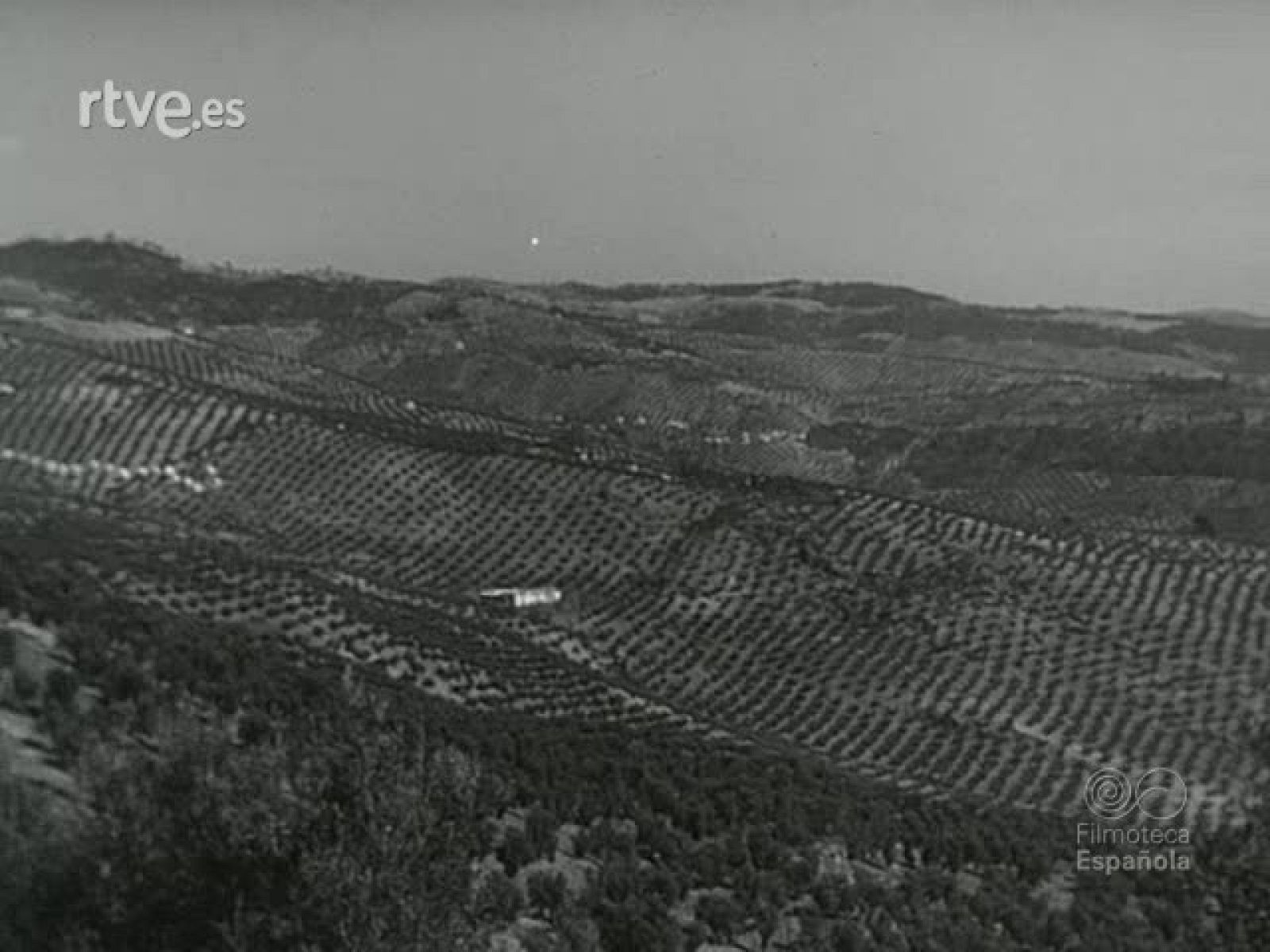 NOT N 535 A - NO-DO | Ver