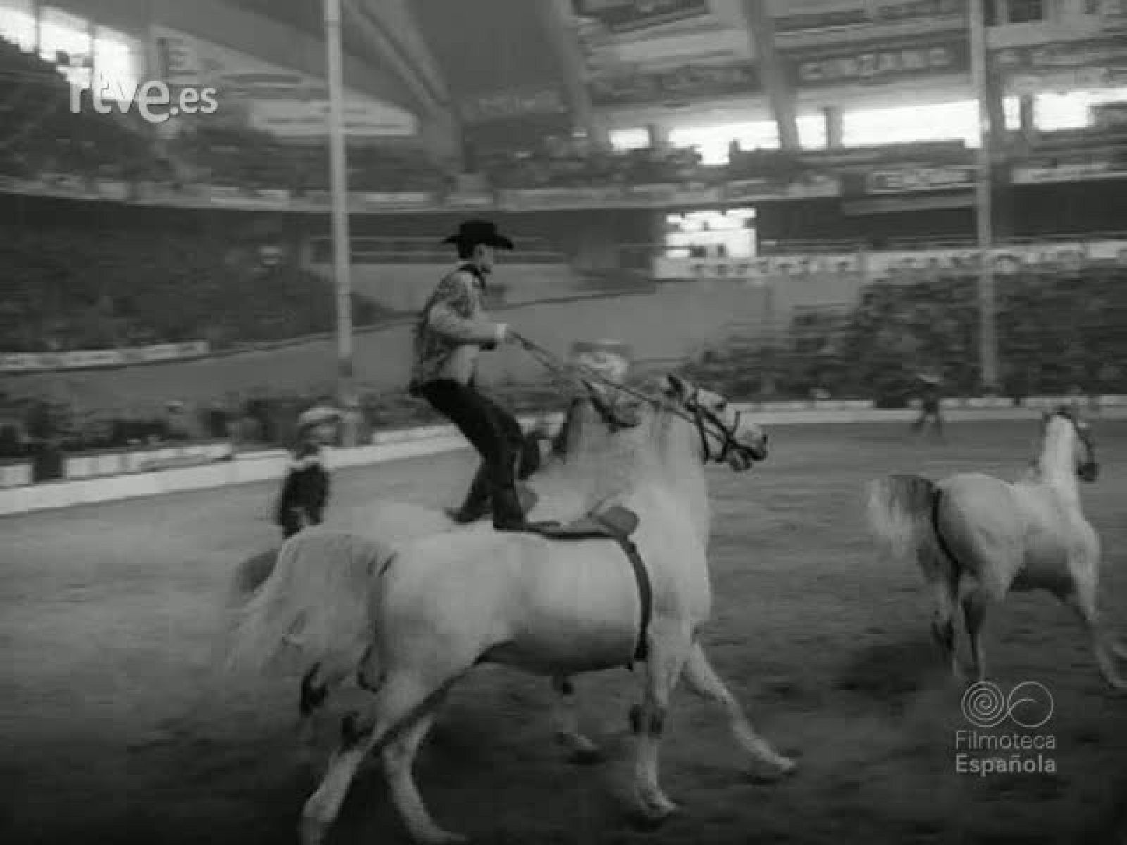 NOT N 1101 A - NO-DO | Ver