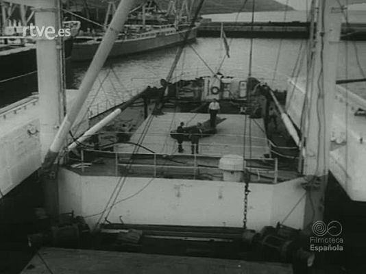 NO-DO - NOT N 1136 B