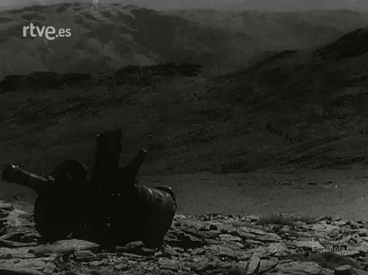 NO-DO - NOT N 1136 C